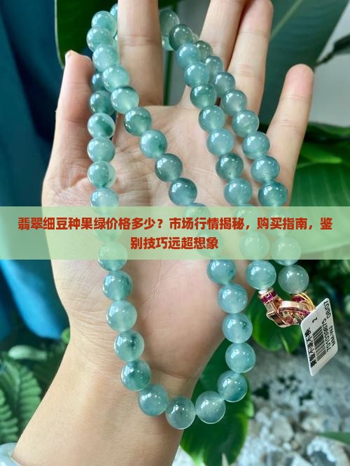 翡翠细豆种果绿价格