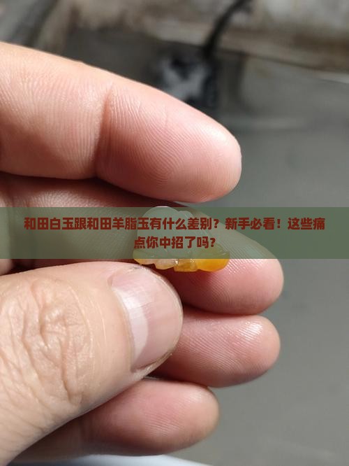 和田白玉跟和田羊脂玉有什么差别