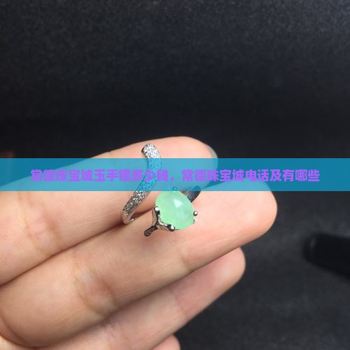 常德珠宝城玉手镯多少钱