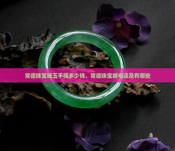 常德珠宝城玉手镯多少钱