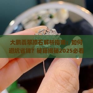 大鹏翡翠原石