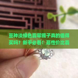 豆种淡绿色翡翠镯子