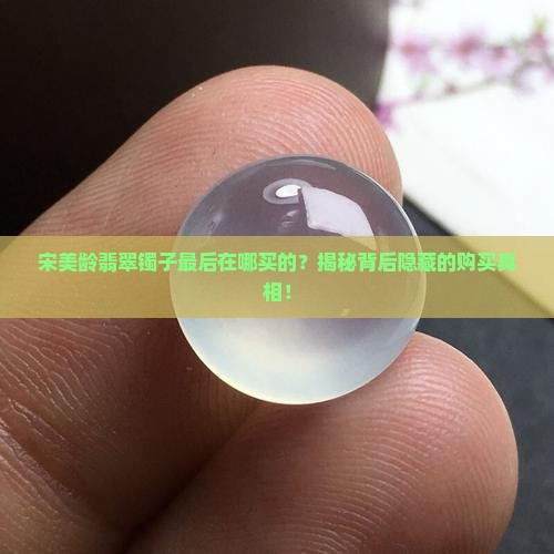 宋美龄翡翠镯子最后在哪买的