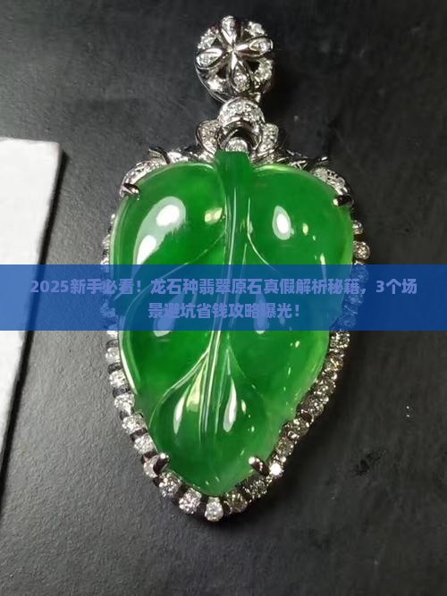 如何确定是龙石种翡翠原石的真假