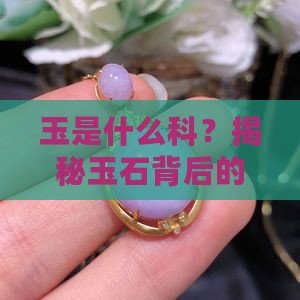 玉是什么科