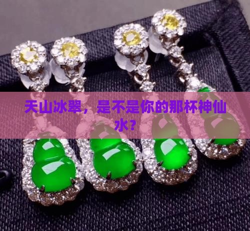 天山冰翠养人吗