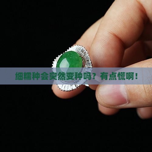 细糯种容易变种吗
