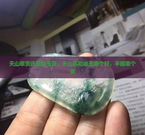 天山翠贵还是岫玉贵