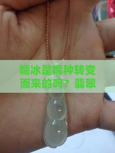 糯冰是糯种转变而来的吗