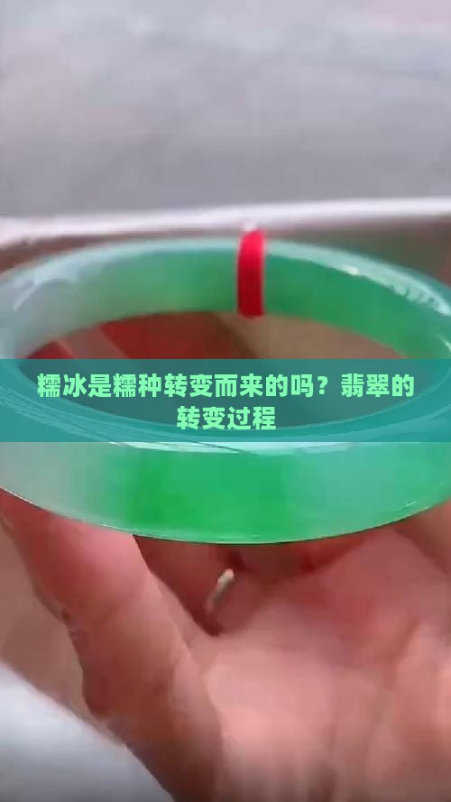 糯冰是糯种转变而来的吗
