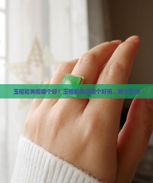 玉檀和黄檀哪个好
