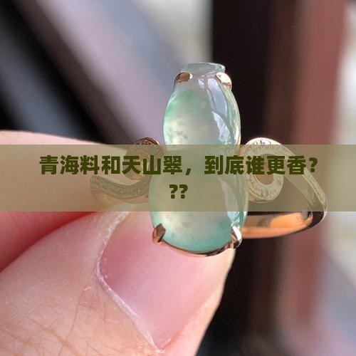 青海料和天山翠哪个好