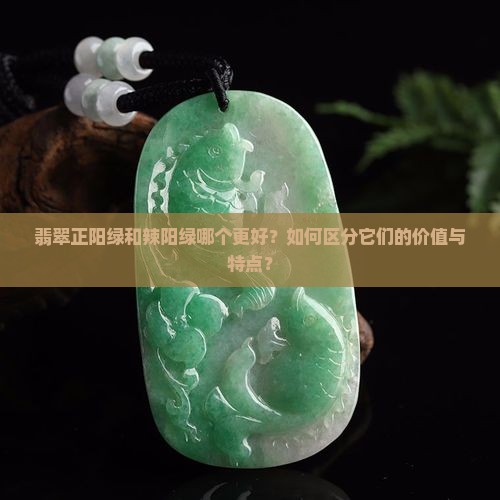 翡翠正阳绿和辣阳绿哪个好