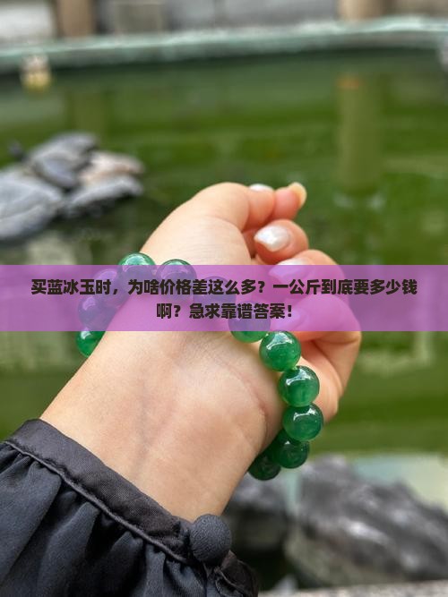 蓝冰玉多少钱一公斤