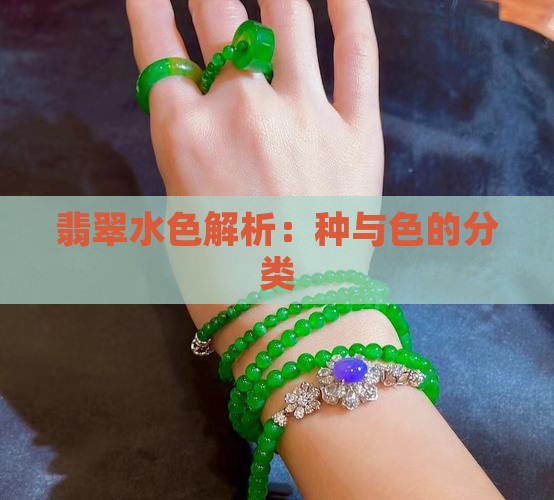 翡翠的种水色分类