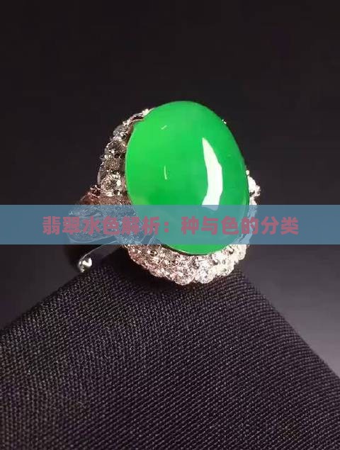 翡翠的种水色分类