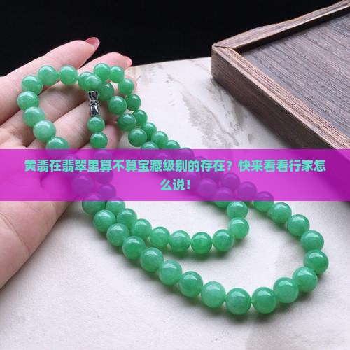 翡翠中的黄翡值钱吗