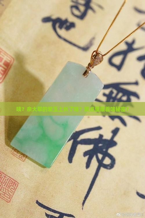 佘大翠紫玉上的紫点
