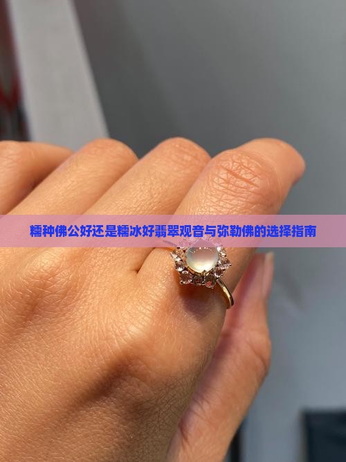 糯种佛公好还是糯冰好