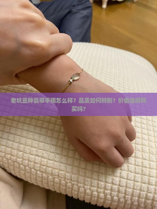 老坑豆种翡翠手镯