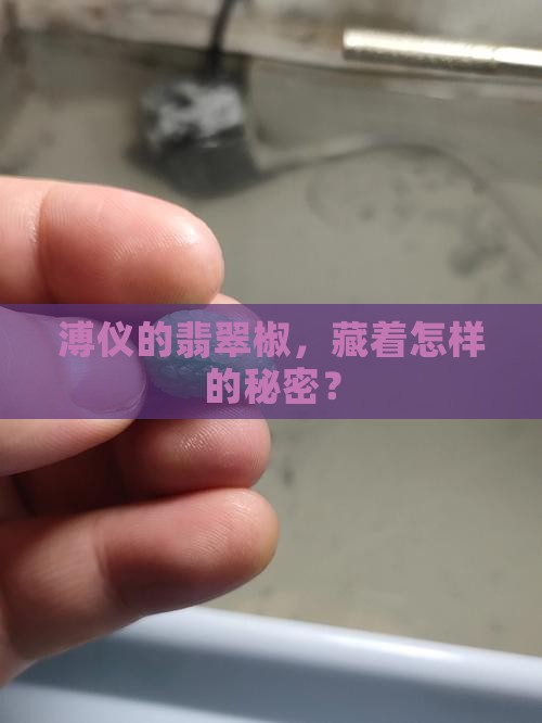 溥仪翡翠椒