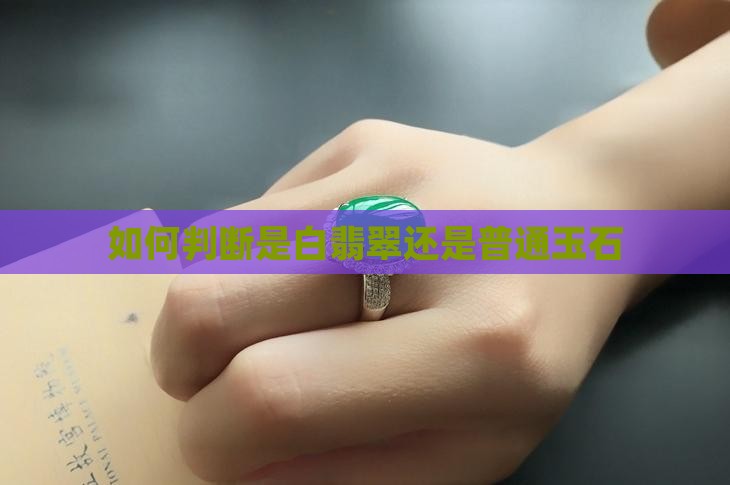 怎么判断是白翡翠还是玉