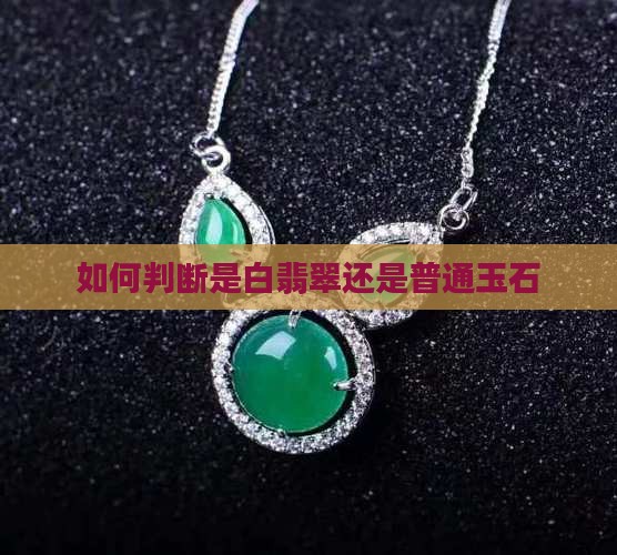 怎么判断是白翡翠还是玉