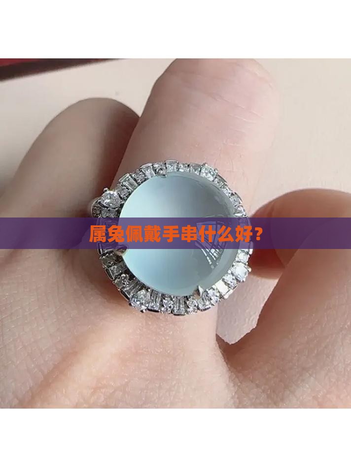 属兔佩戴玉手串