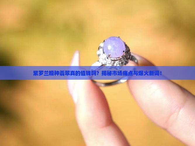 紫罗兰糯种翡翠