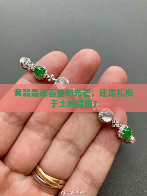 黄翡属于金还是土