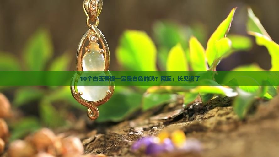 白玉菩提只有白色吗