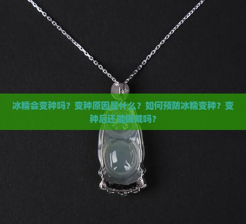 冰糯会变种吗