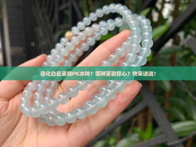 德化白瓷素烧和冰种哪个好