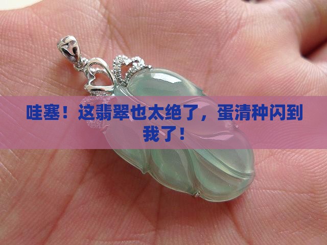 翡翠蛋清种 翡翠蛋清种