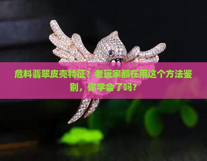 危料翡翠皮壳特征