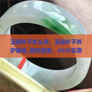 玉髓叶子怎么养