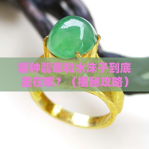 糯种翡翠和水沫子的区别在哪