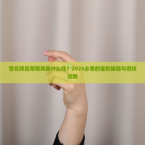 雪花棉翡翠镯