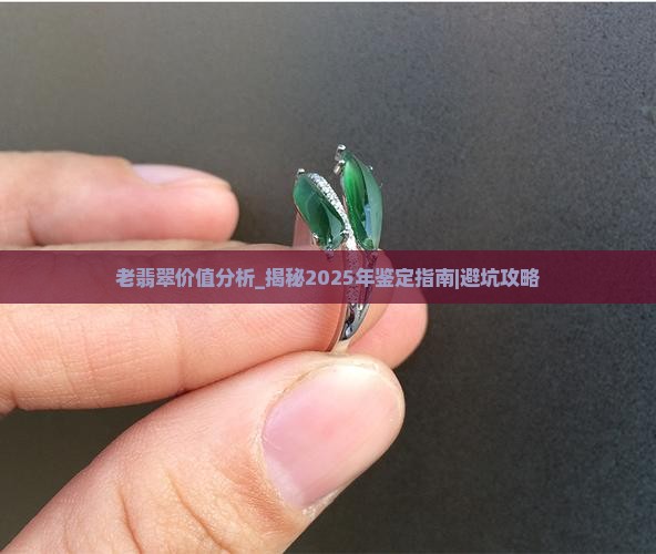 老翡翠价值分析