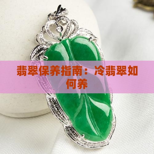 冷翡翠如何养