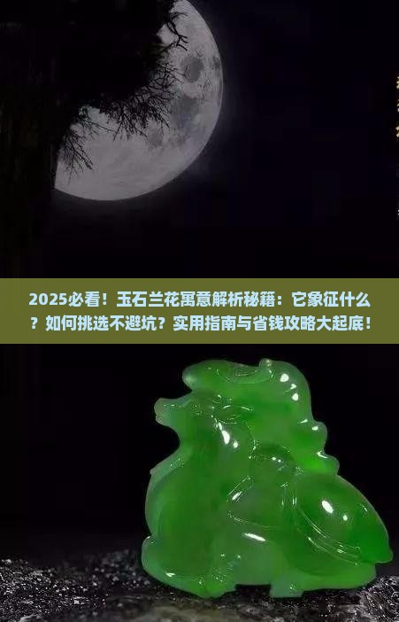 玉石兰花寓意着什么