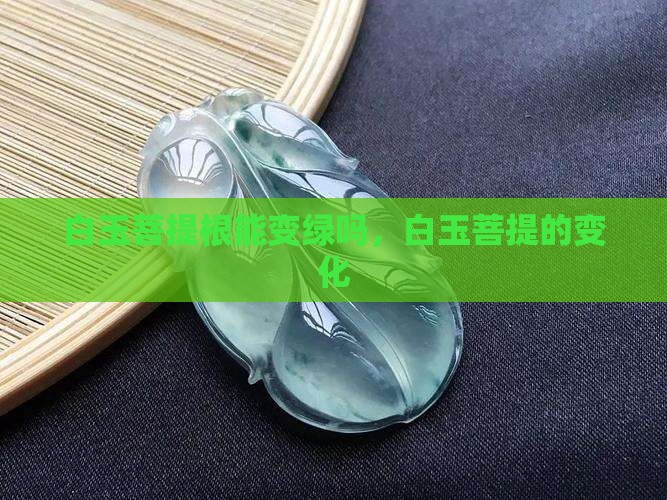 白玉菩提根能变绿吗