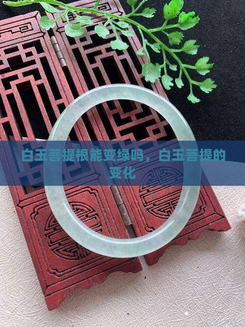 白玉菩提根能变绿吗
