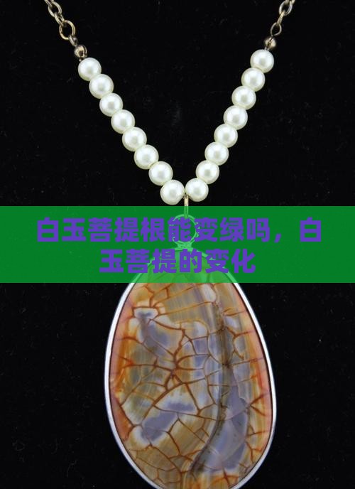 白玉菩提根能变绿吗