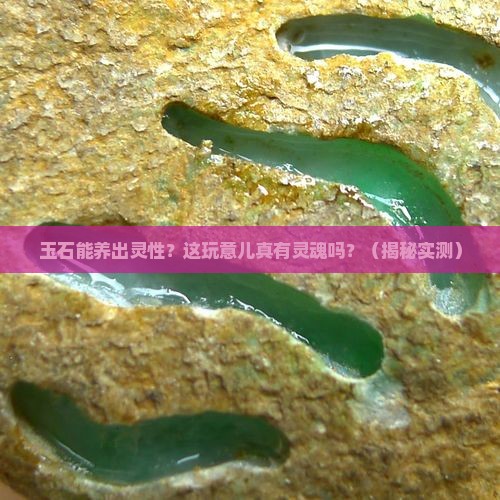 玉石能养出灵性吗
