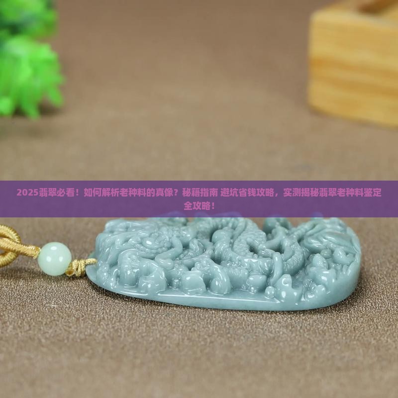 翡翠如何看老种料