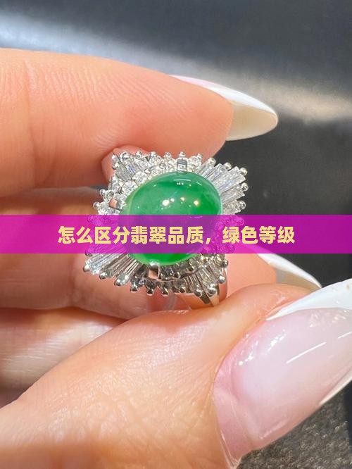怎么区分绿翡翠品质