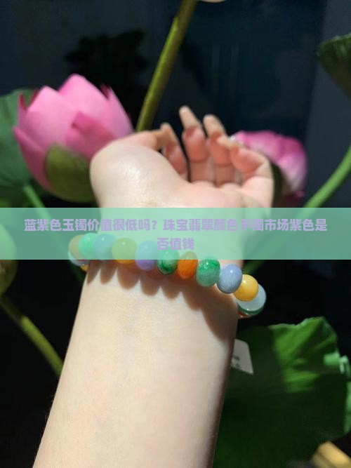 蓝紫色玉镯价值很低么