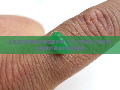 金丝玉冻料手镯市场价是多少