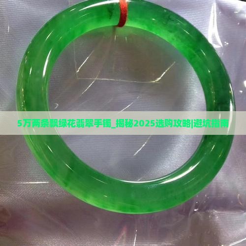 5万两条飘绿花翡翠手镯